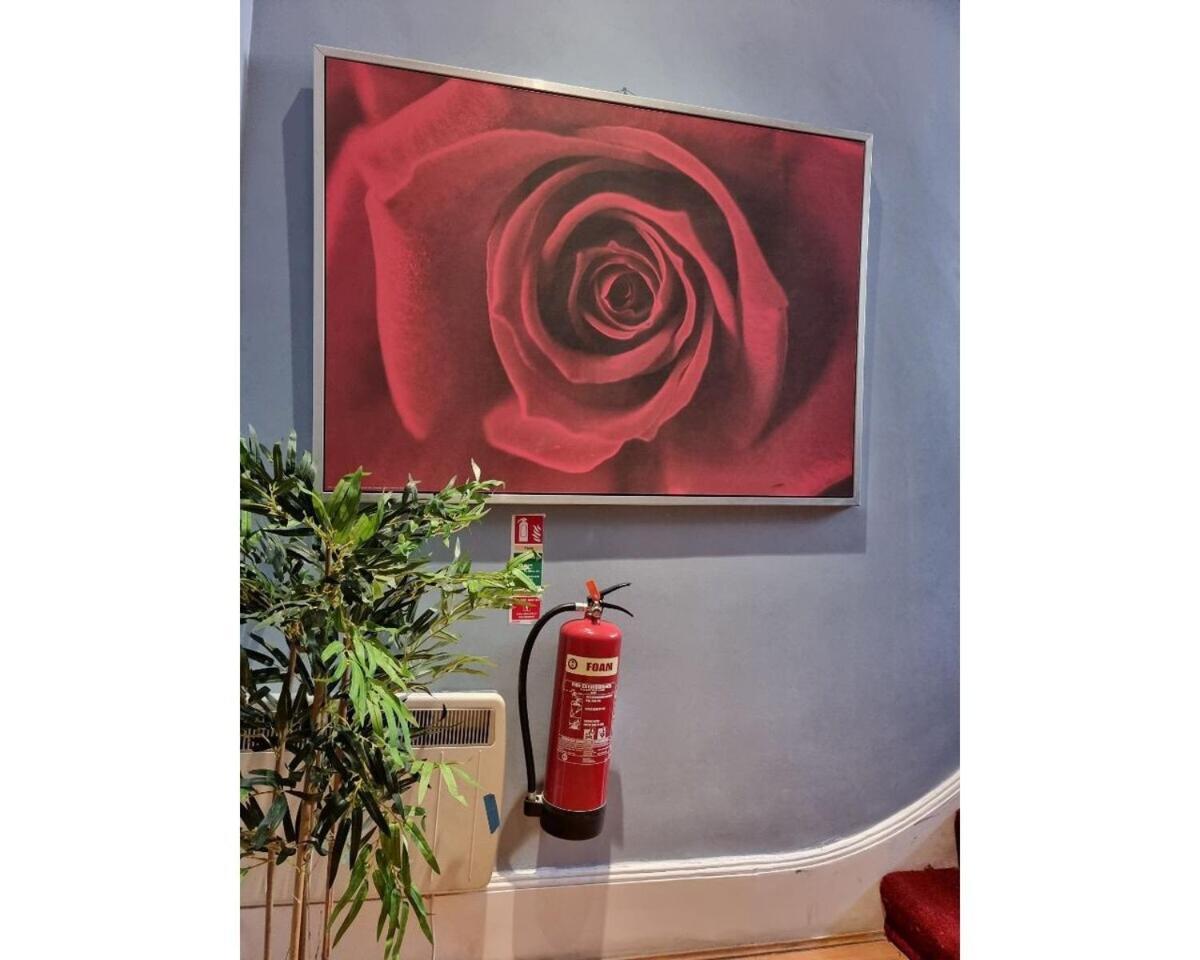 Fb2-Fantastic Basement Studio Good For 3 Near Hyde Park Londen Kamer foto